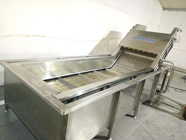葉類蔬菜氣泡清洗機(jī)